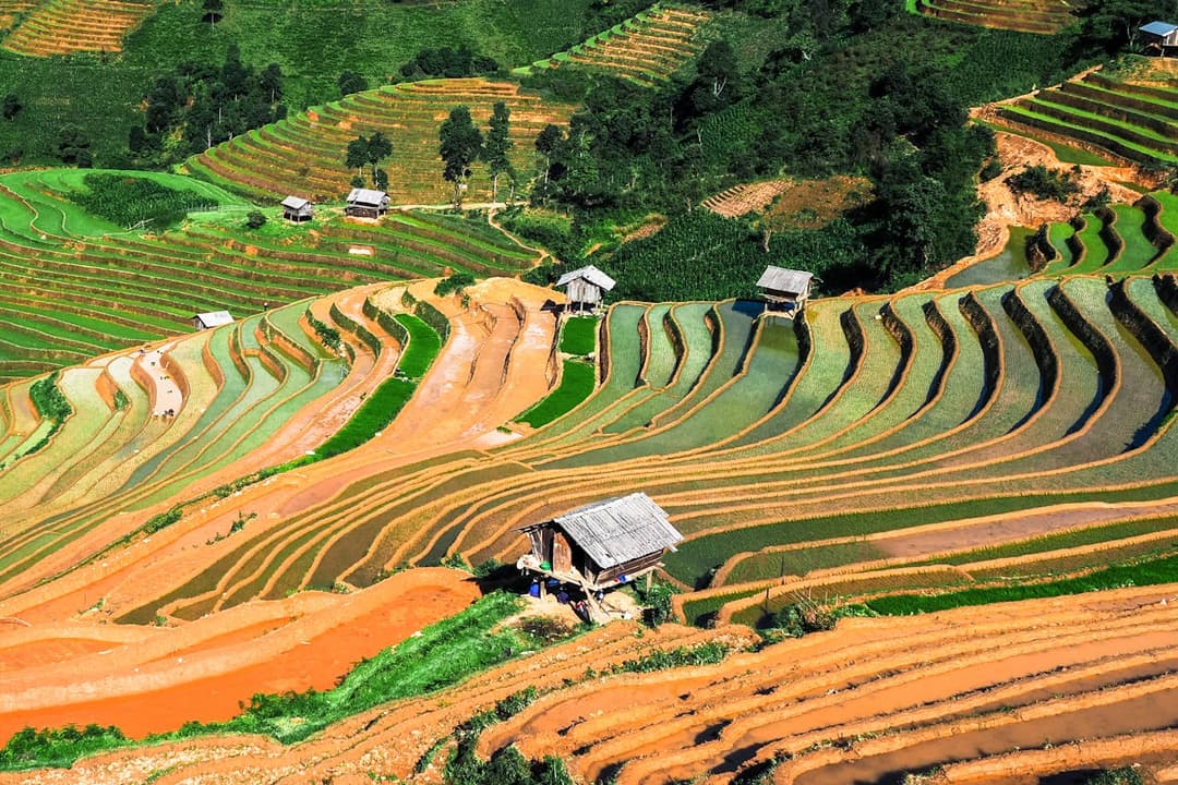 Agriculture & Food Supply